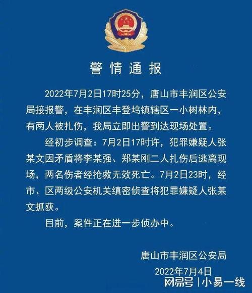 凶杀案爆料范文最新版,最新爆料范文深度剖析  第3张