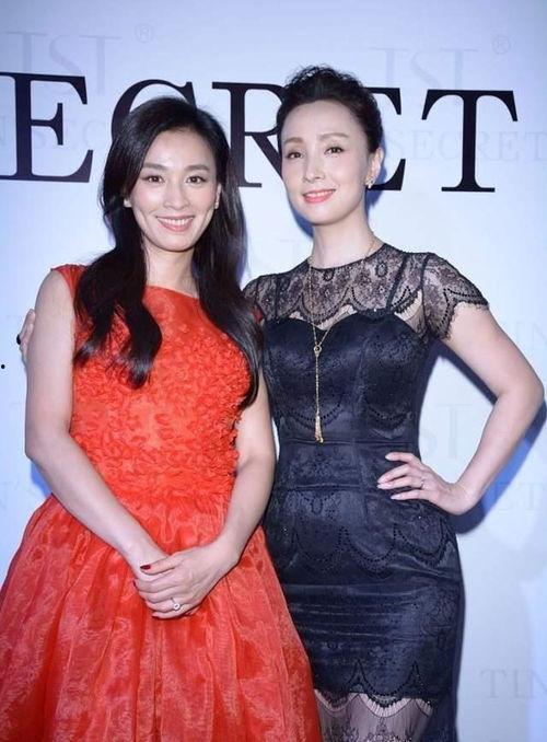 张婷爆料陶虹视频大全,真相大白背后的惊人内幕  第3张