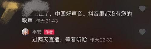 歌手平安最新爆料歌曲,穿越时空的旋律，唤醒沉睡的回忆  第3张