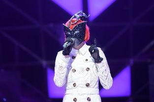 蒙面歌王在线观看,揭秘神秘歌手的华丽对决！  第3张