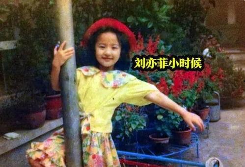 刘亦菲被爆料视频在线,真相究竟如何？  第2张