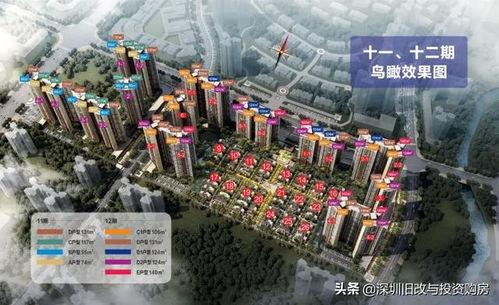 惠州博罗县爆料案件最新,真相揭秘，疑云重重！  第2张